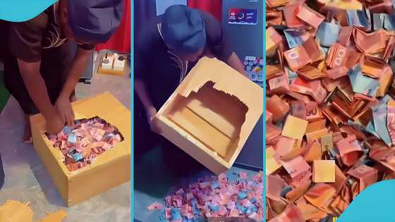 Man breaks open year-long susu savings, counts bundles of GHC100, GHC200 notes ahead of Detty December
