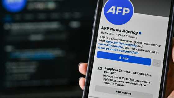 Meta news ban intensifying Canadians' legacy media break