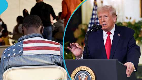 Disaster as Trump suspends US green card lottery scheme after Brown shooting