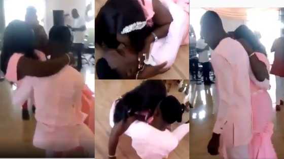 Lightweight groom falls with his 'heavy' bride after trying to carry her at their wedding (Video)