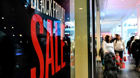 US 'Black Friday' online spending put at record $10.8 bn