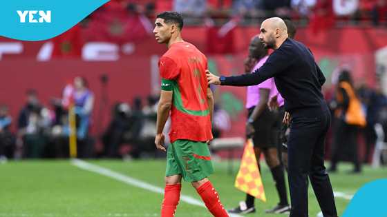 Morocco FA sets record straight about head coach's resignation after AFCON final loss