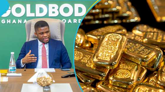 Sammy Gyamfi fights back after reports on $214m Bank of Ghana loss under gold-for-reserves programme