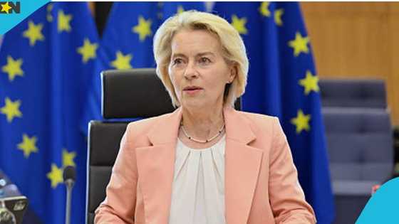 EU names 51 African countries that need a Schengen visa to enter Europe