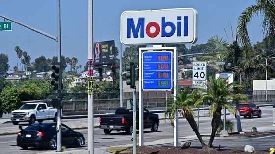 US consumer inflation cools in March on falling gas prices