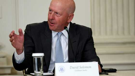 Goldman Sachs profits jump as CEO eyes more merger activity