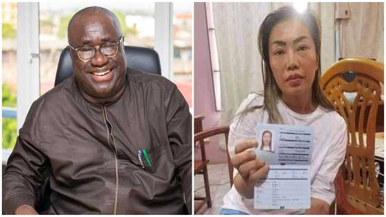 Aisha Huang is a Chinese state agent sent to destroy Ghana's cocoa sector – Prof Kwesi Aning