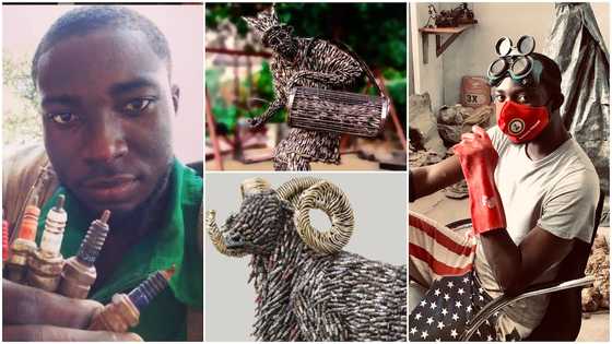 Talented man makes great arts using generator plugs, photos of his works cause massive stir
