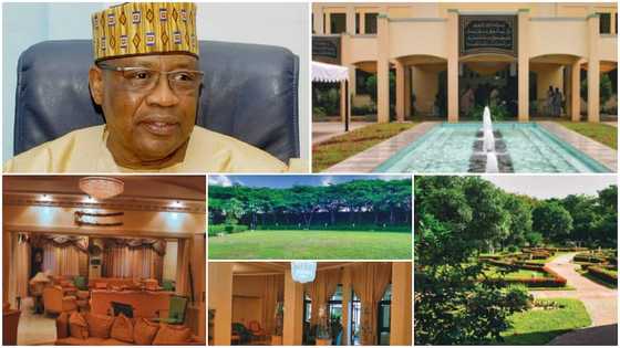 Money talks: A look inside the palatial mansion owned by a top politician, chairs look like gold