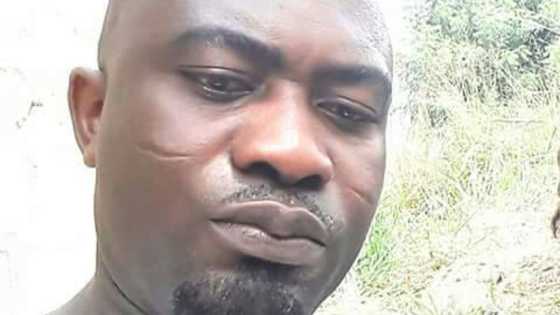 Kitchen stool 'atopa' headmaster reveals what actually transpired