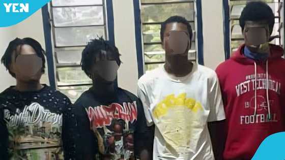 Netizen reacts as police arrest two siblings in connection with high-profile robbery