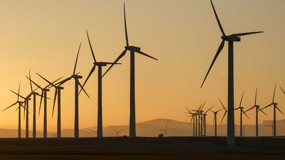 EU debates 2040 milestone towards carbon-neutral future