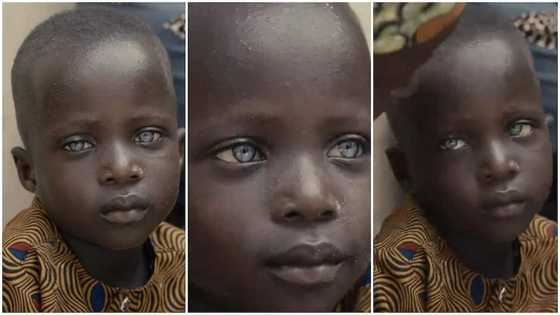 Ravishing cutie: Handsome little boy with glowing Black skin and strange eyeballs stuns many, video goes viral