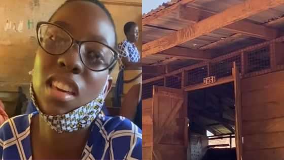 Accra: The government doesn't care about us - BECE candidate in school without subject teachers