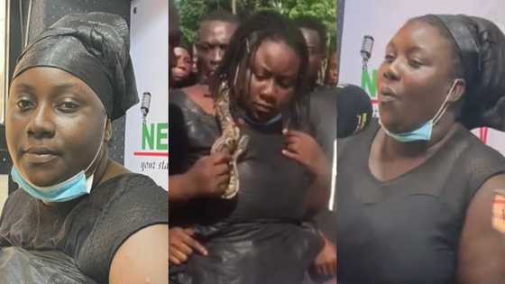My husband gave the snake to my daughter as a gift - Widow who put live snake in hubby's casket