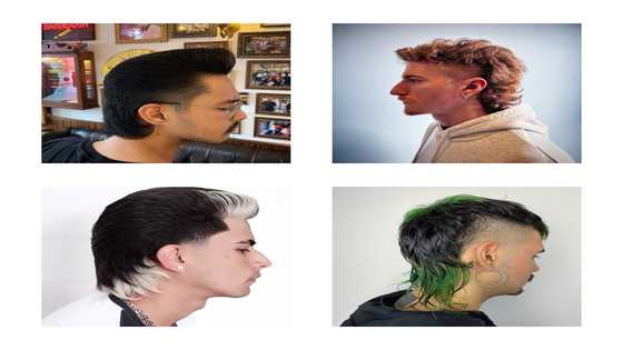 How does a modern mullet haircut look like? 15 of the best designs for men