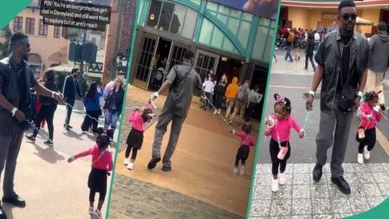 People stare as an overprotective dad uses a leash to hold his 2 daughters at Disneyland, video trends