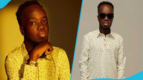 "It would affect me negatively": Akwaboah to snub songwriting requests from political parties