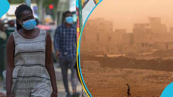 Environmental Protection Agency issues face mask alert over Harmattan air
