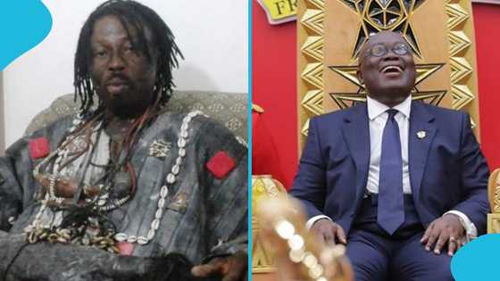 Kwaku Bonsam drops prophecy about Akufo-Addo, says he'll suffer a strange illness
