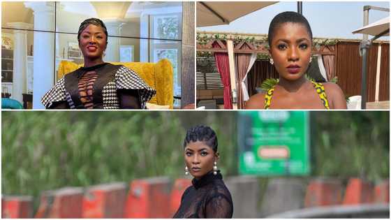 Ahoufe Patri: Ghanaian actress looks stunning in cleavage-baring dress and heavy makeup