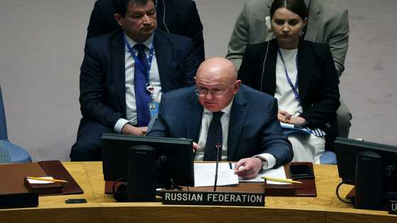 Russia 'regrets' IAEA report did not blame Ukraine: UN envoy