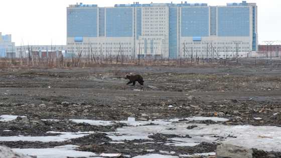 US creates Arctic ambassador as Russia, China competition rises