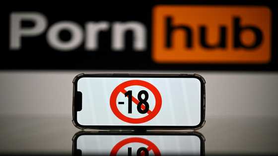 EU investigates four porn platforms over risks to children