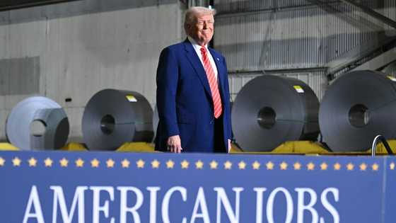 Trade war cuts global economic growth outlook: OECD