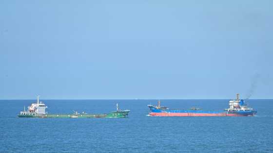 US to boost Taiwan trade, conduct air, sea transits