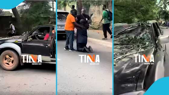 Ghanaian man excited as he narrowly escapes harm after a tree fell on his car