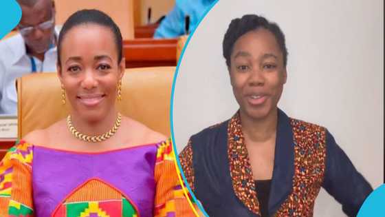 Lookalike of Zanetor Rawlings readies to come to Ghana, appeals to meet the NDC MP in adorable video