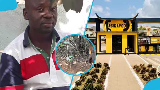 Alleged burial spot found on Obuasi Sec/Tech campus