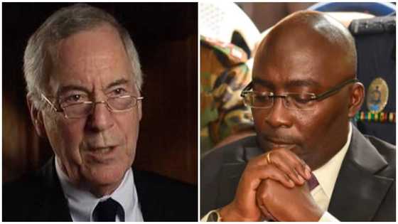 Bawumia playing blame game about cause of Ghana's economic mess – Prof Hanke