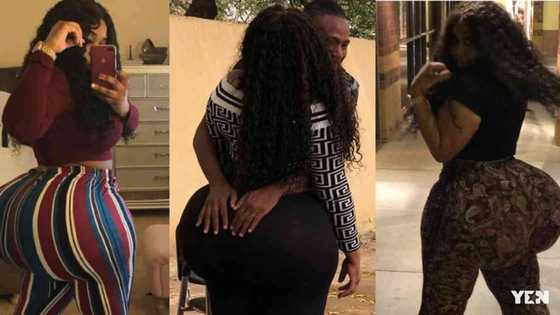 Top Ghanaian journalist 'caught' playing and squeezing the backside of the Year of Return lady
