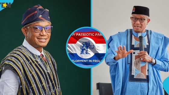 Dr Mustapha Abdul-Hamid: Ex-NPA boss declares intention to contest NPP National Vice Chair position