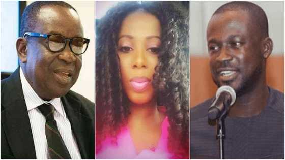 Chantelle Kudjawu: Video of why Akufo-Addo's boy Eugene Arhin 'slept' with Kan Dapaah's girlfriend emerges