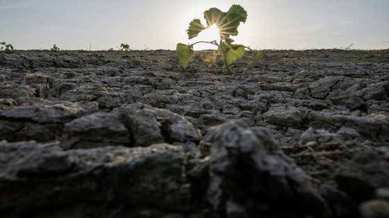 France on course for driest July on record: weather office