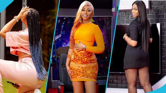 Michy marvels at the opportunities women with big backsides receive: "The toilet seats are now assets"