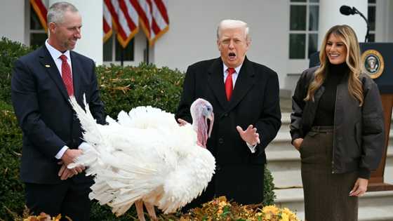 US farmers, firms flag higher costs even as Trump touts affordability