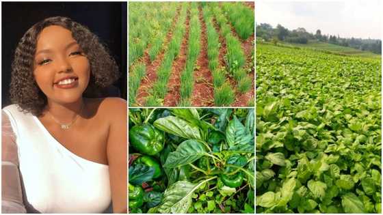 Pretty lady succeeds big in farming, shows off her plantation (photos)