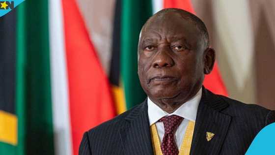 South Africa launches MEETS platform to speed up visa processing for some categories of foreigners