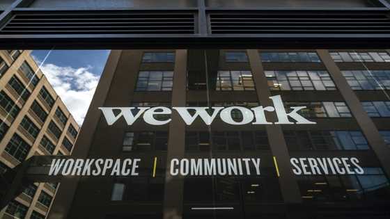 Ousted WeWork co-founder bids to buy company: reports
