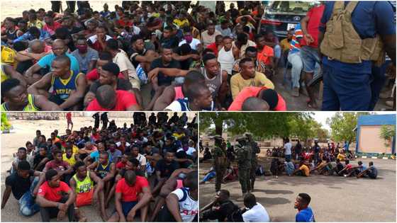 Police arrest 480 Illegal immigrants from Nigeria, Burkina Faso