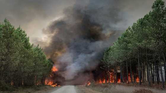 Arson suspected as huge French wildfire reignites