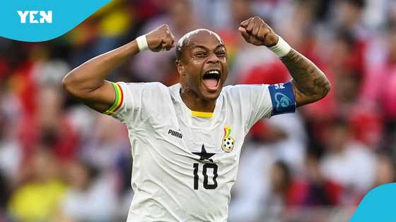 André Ayew deserves World Cup spot, says prominent NDC MP