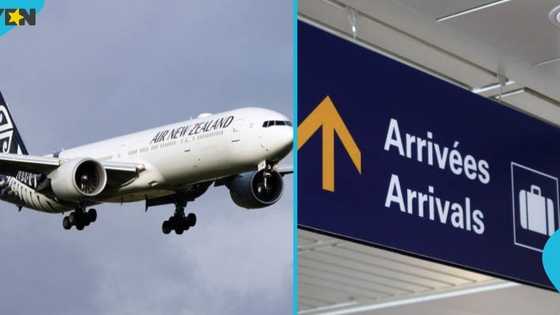 New Zealand lists 2 key rules guiding Ghanaians and other foreigners on Entertainers Work Visa
