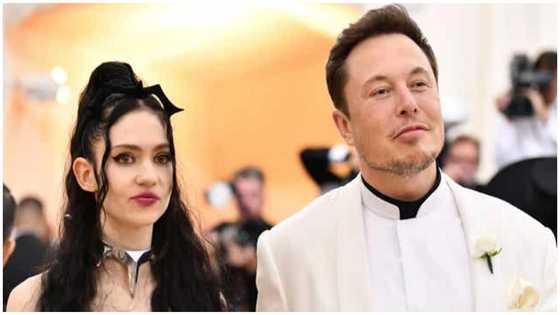 Elon Musk, Grimes, Announce Secret Birth of 2nd Child Through Surrogate Months After Reconciling
