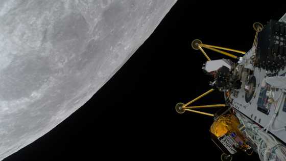 US firm targets Moon landing with drill, rovers, hopping drone