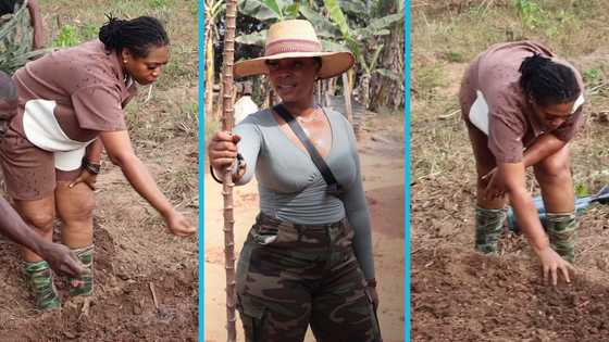 Michy uses her bare hands to plant cucumber seeds on her farm in the rain, video